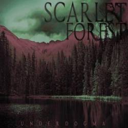 Scarlet Forest : Underdogma